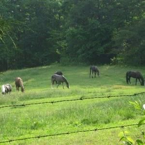 Meet your Posher, Christie